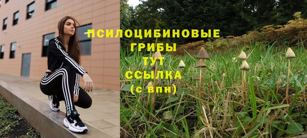 2c-b Баксан